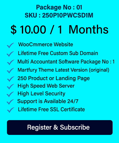 WooCommerce Website & Multi Accountant Software Monthly Hosting Package No - 01